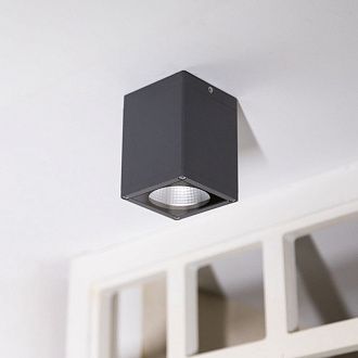 Потолочный фонарь Natural Concepts, Арт. NC-133474-DG