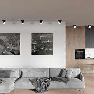 Трековый светильник для низковольтного шинопровода 11,5*10* см, LED 10W*3000 К, Novotech Shino Smal, черный, 359262