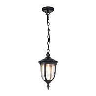 Подвесной фонарь Elstead Lighting, Арт. CL8-S