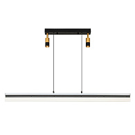 Подвесной светильник 120*4*100 см, LED 100W, 3000 / 6000K, Черный, Золото LED4U L8700-1200