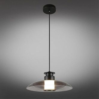 Подвесной светильник 30*40-200 см, 1*LED, 10W, 4000K, Aployt Stefa APL.648.06.10, черный