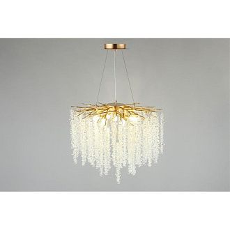 Подвесная люстра 60*80-170 см, G9, 20 м2 Aployt PAULINA APL.848.03.10,