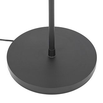 Торшер *38,5*-195 см, *LED*46W, 2800-6000K, Citilux Loong CL810031, Чёрный