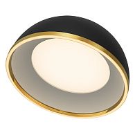 Светильник 50 см, 45W, 3000-6000K, Citilux FLOOM CL736151, черный-золото