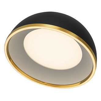 Светильник 50 см, 45W, 3000-6000K, Citilux FLOOM CL736151, черный-золото