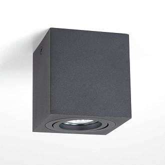 Светильник Черный Citilux Дюрен CL538213