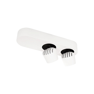 Накладной светильник 25*7,5*7 см, 2*LED*7W 4000K LOFT IT Quiet 10320/2 White белый