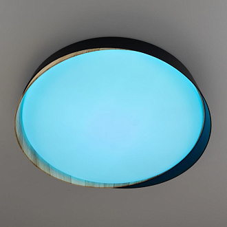 Светильник 42 см, 48W, 3000-5500K с пультом Citilux CL754351G BONNY Черный+Клен LED
