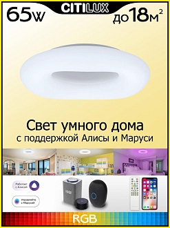 Светильник 52 см, 65W, 3000K-5500K Citilux Стратус Смарт CL732A520G белый