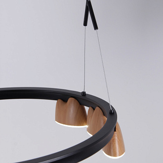 Подвесная люстра 87,5*60*161 см, 94.5W, Favourite Interline 4266-21P матовый черный, прозрачный акрил с узором, текстура дерева