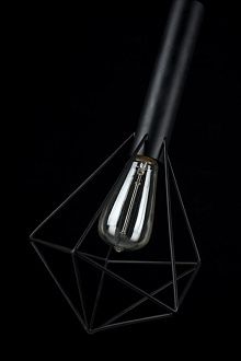 Подвес Maytoni T021-01-B, черный