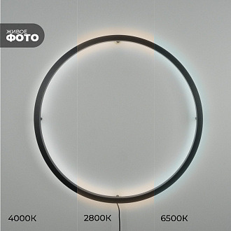 Светильник ElegantLight DZN-11113 ЧЕРНЫЙ D800/H60/1/LED/20W/2800-6500K без ПДУ GUARD-LUX 23-12