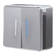 Выключатель двухклавишный с подсветкой Gallant (серебряный) W5020106 Werkel 4690389167119