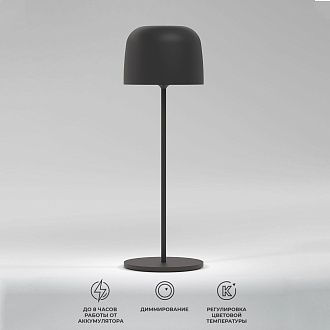 Настольный светильник 8*8*24 см, LED, 1W, 2500;3200;4000K, Elektrostandard Bitty TL70260, черный