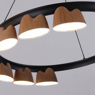 Подвесная люстра 48*161 см, 39.6W, Favourite Interline 4266-9P матовый черный, прозрачный акрил с узором, текстура дерева