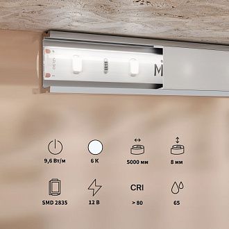 Светодиодная лента Base 12В 2835 9,6Вт/м 6000K 5м IP 65 201176 Maytoni Technical, цена за метр, катушкой по 5 м