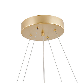 Подвесная люстра 127,5*40*135 см, 8*LED, 60W, 4000К, Favourite Asterismo 4448-8P золотой