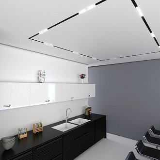 Трековый светильник Slim Magnetic WL02 12W 4200K черный 85008/01 Elektrostandard