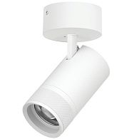 Светильник накладной c адаптером *9,4*18 см, *40W, 2700-4200-6000K, Lightstar Canno Pro C4406SO, Белый