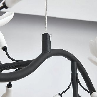 Люстра подвесная Ceramo BW Lightstar 799087