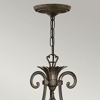 Люстра Hinkely Lighting, Арт. HK-PLANT7-PZ
