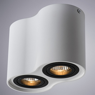 Накладной светильник Arte Lamp A5644PL-2WH белый