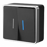 W5020135 Выключатель двухклавишный с подсветкой Gallant, черныйхром Werkel, 4690389164224
