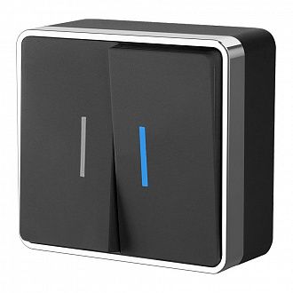 W5020135 Выключатель двухклавишный с подсветкой Gallant, черныйхром Werkel, 4690389164224