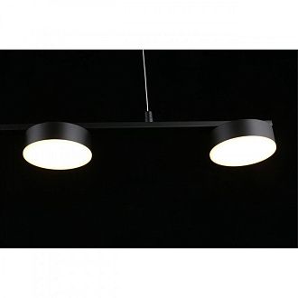 Подвесной светильник 120*10*30-140 см 35W, 3000K, Aployt Usia APL.047.03.35, черный