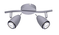 Спот с двумя лампами A1966AP-2GY Arte Lamp REGISTA, серый