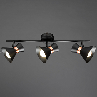 Спот Arte Lamp Baltimore A1406PL-3BK, черный/золотой