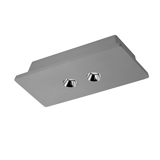 Потолочный светильник Loft it Architect OL1072-GH/2 хром