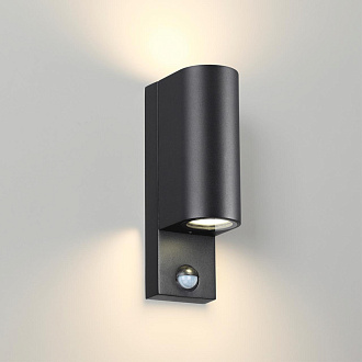 Светильник 23 см, Odeon Light MOTTO 4390/2W, черный