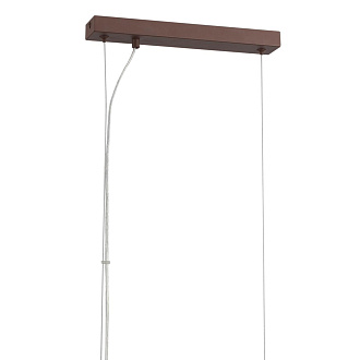 Светильник подвесной 11*69*167 см, 4*E14 Lumion DANA 8005/4A кофе, золотой