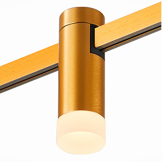Светильник на шине 2,9*9 см, LED, 3W,  3000К, ST-Luce FARM ST812.206.03 золотой