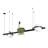 Подвесной светильник 150 см, 75W, 3000K, Loft IT Jardin 10121/D, черный