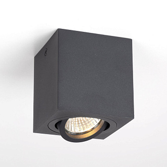 Светильник Черный Citilux Дюрен CL538213