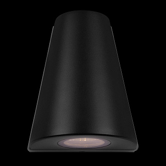 Уличный настенный светильник 12,5*16 см, 2*LED*3W 3000K LOFT IT Eterno 100004/2 черный
