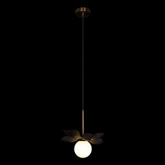 Подвесной светильник 27*34,5 см, 1*G9 Loft it Monro 10213/B Black