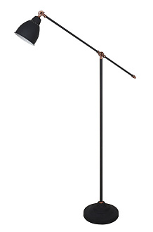 Торшер Arte Lamp BRACCIO A2054PN-1BK, черный