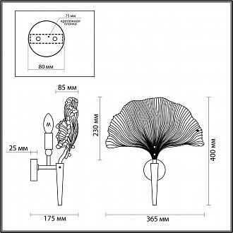 Бра Odeon Light Ventaglio 4870/1W Золото