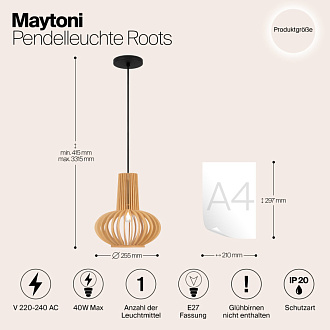Подвесной светильник  29*15*21,5 см, E27 1 40W, К, Черный Maytoni Roots MOD193PL-01W