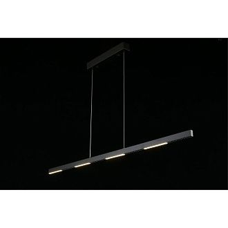 Линейный светильник 120*5*40-130 см Aployt Noella APL.051.03.28,