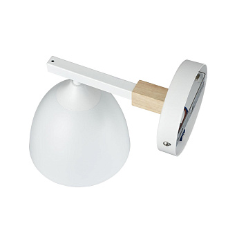 Бра 23*22 см, 1*E27 Lumion COLANGE 8095/1W белый