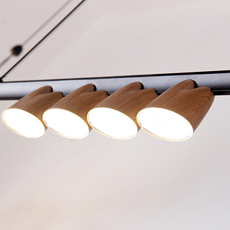 Подвесная люстра 135*7*161 см, 48W, Favourite Interline 4266-10P матовый черный, прозрачный акрил с узором, текстура дерева