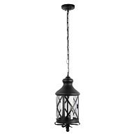 Подвесной уличный светильник *19*48,4-99,4 см, 1*E27*100W, LOFT IT Ferrara 100020P, черный