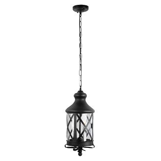 Подвесной уличный светильник *19*48,4-99,4 см, 1*E27*100W, LOFT IT Ferrara 100020P, черный
