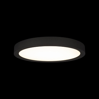 Потолочный светильник 30*3 см, 1*LED*24W 4000K черный LOFT IT Extraslim 10227/24 Black