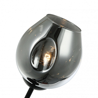 Бра Favourite Traube 2359-1W, D260*W150*H290, черный
