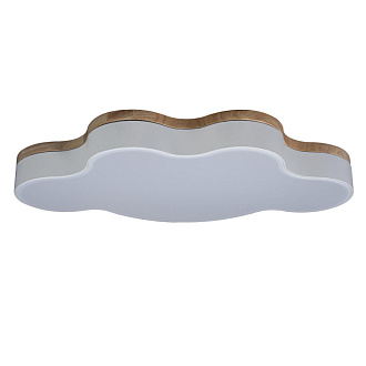 Потолочный светодиодный светильник Loft IT Axel 10005/36 white, 36W LED, 4000K, белый